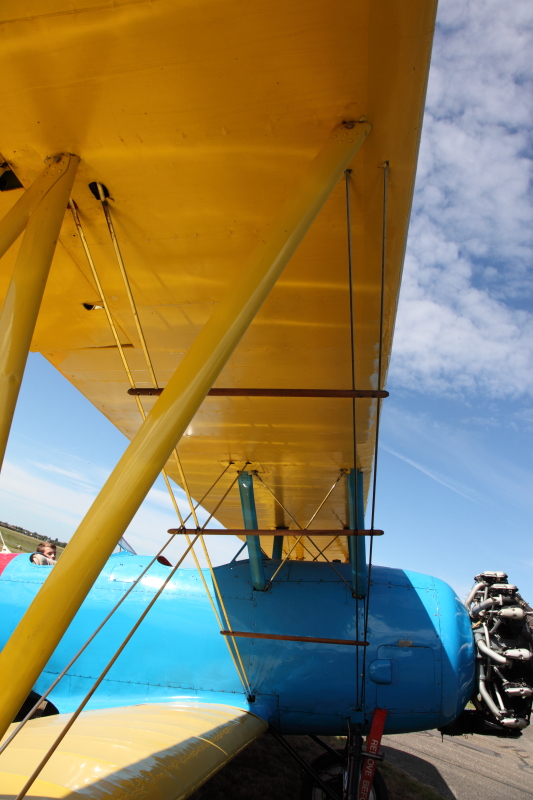 avion